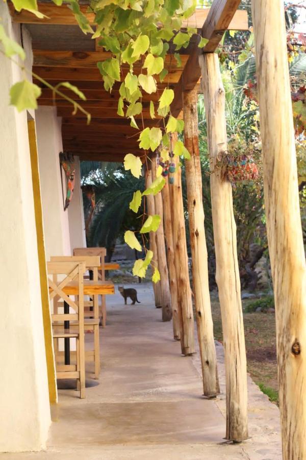 Cielito Lindo Hostel Cafayate Kültér fotó