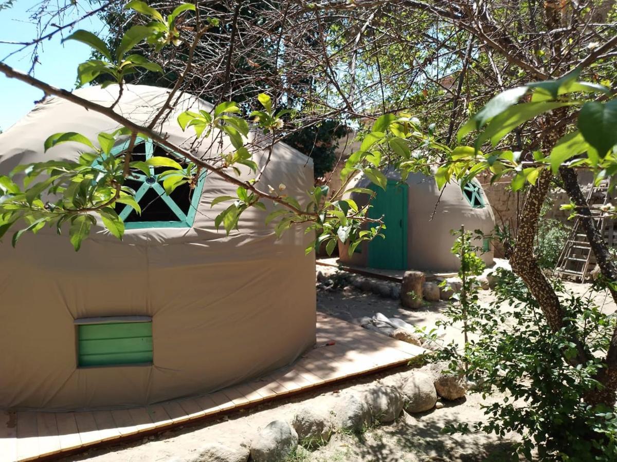 Cielito Lindo Hostel Cafayate Kültér fotó