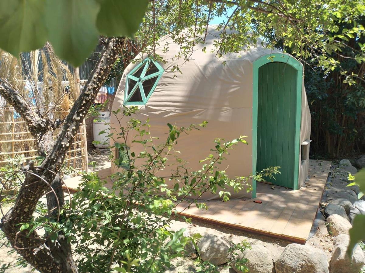 Cielito Lindo Hostel Cafayate Kültér fotó